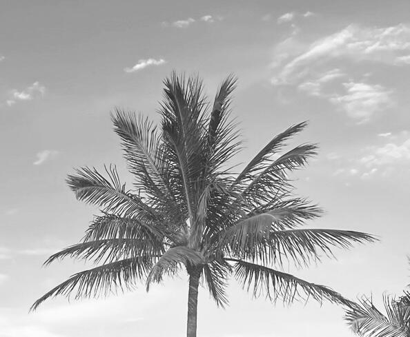 11465 Old Harbour Road