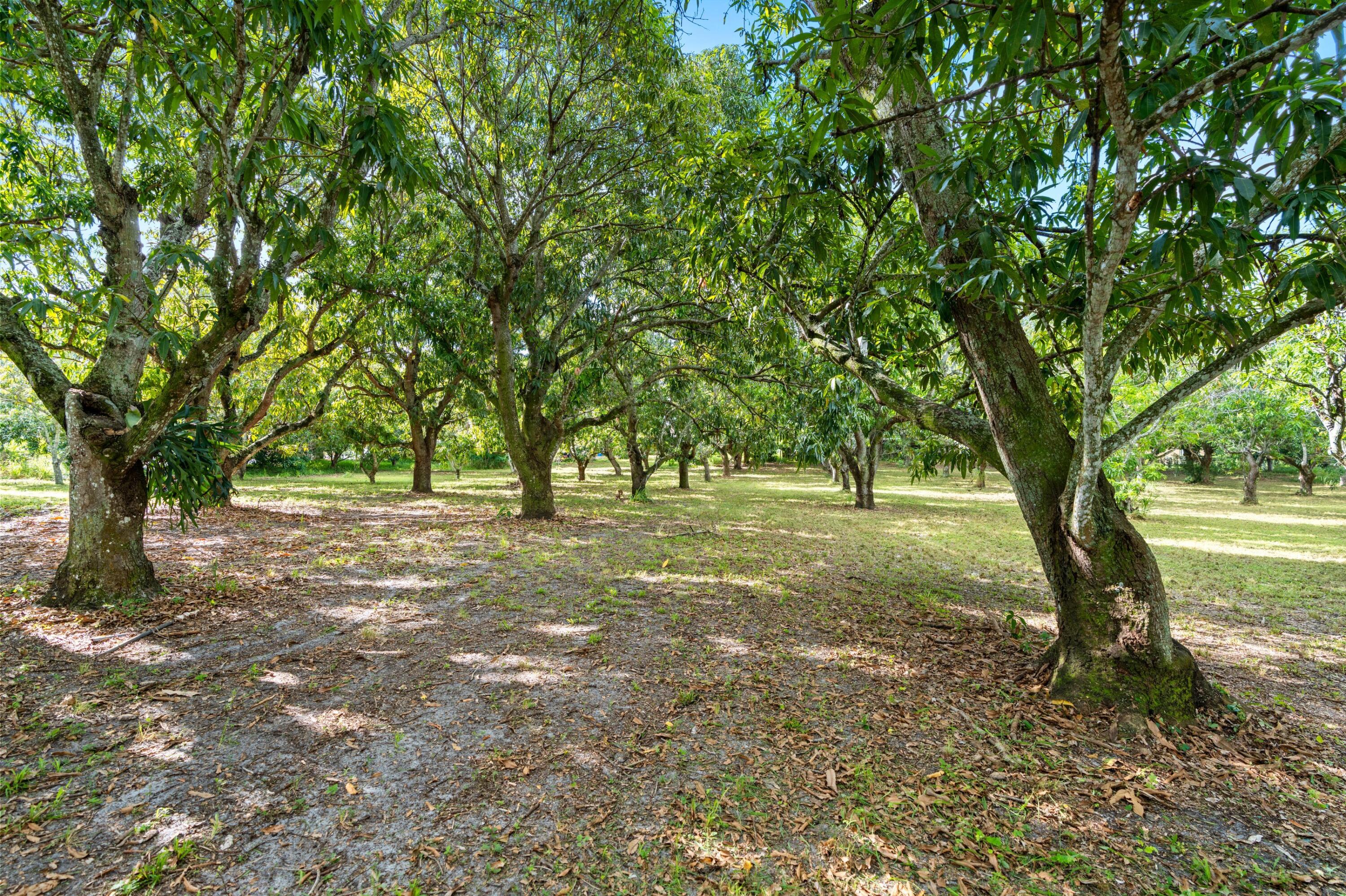 1908 Hypoluxo Road