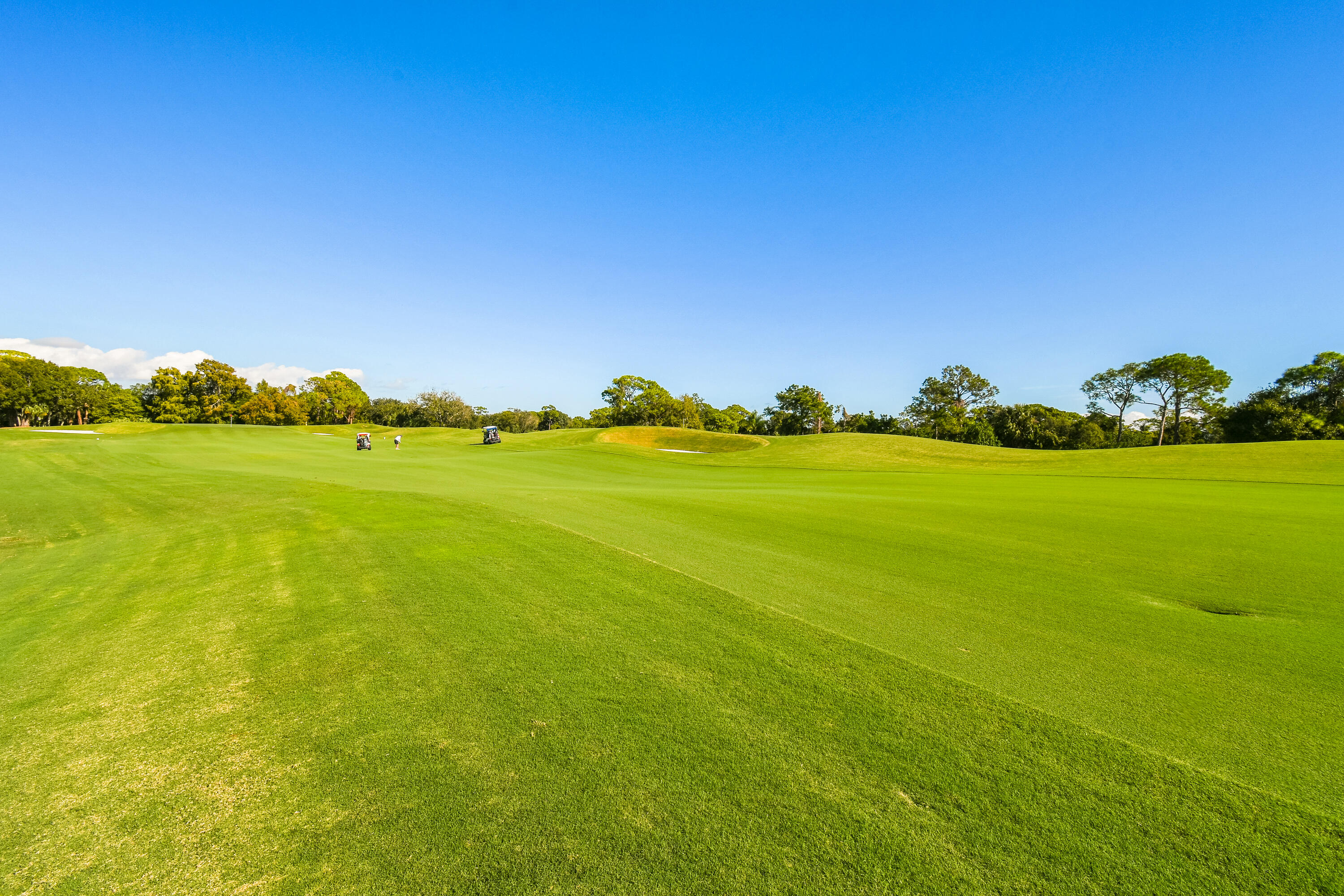 1737 NW Buttonbush Circle