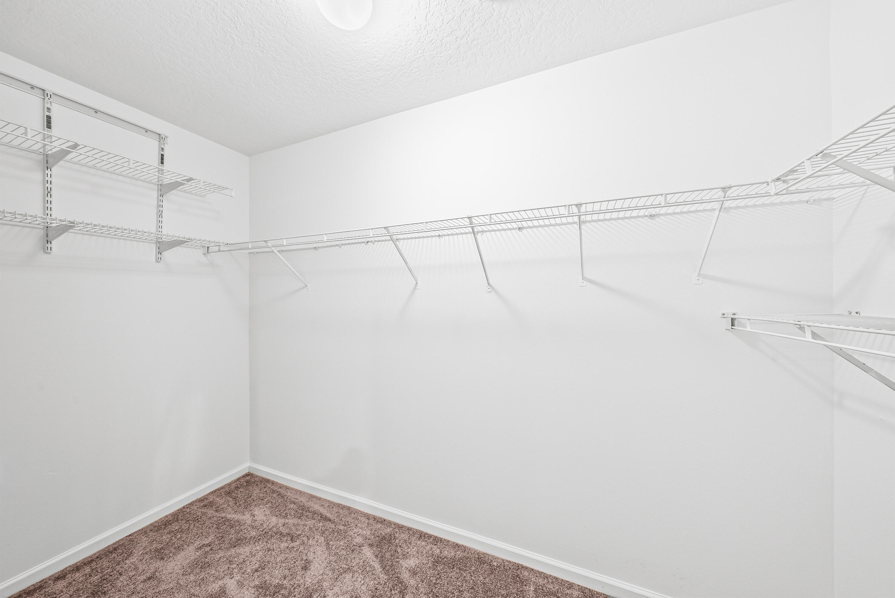 8024 Briantea Drive