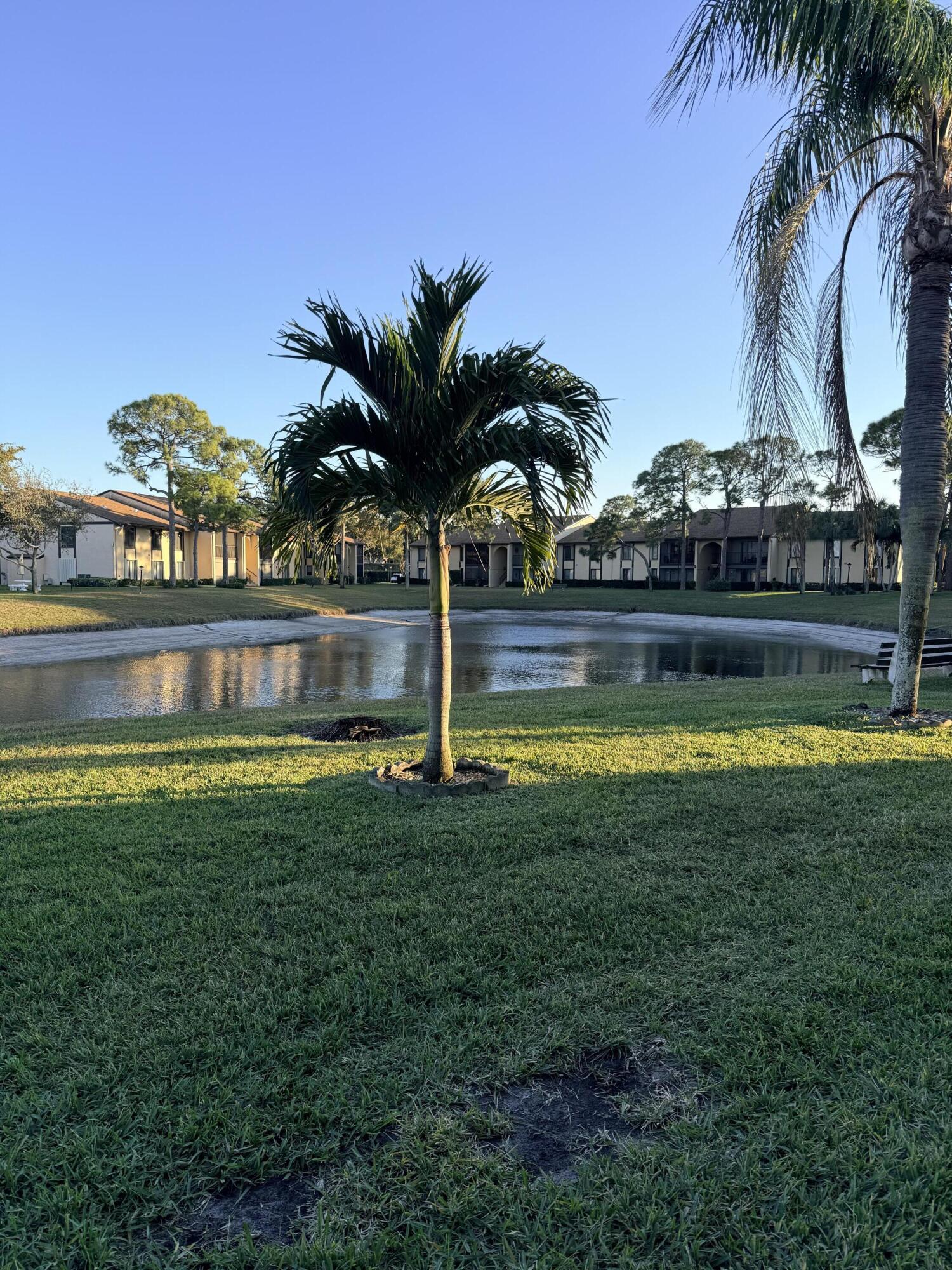 812 Sky Pine Way B2