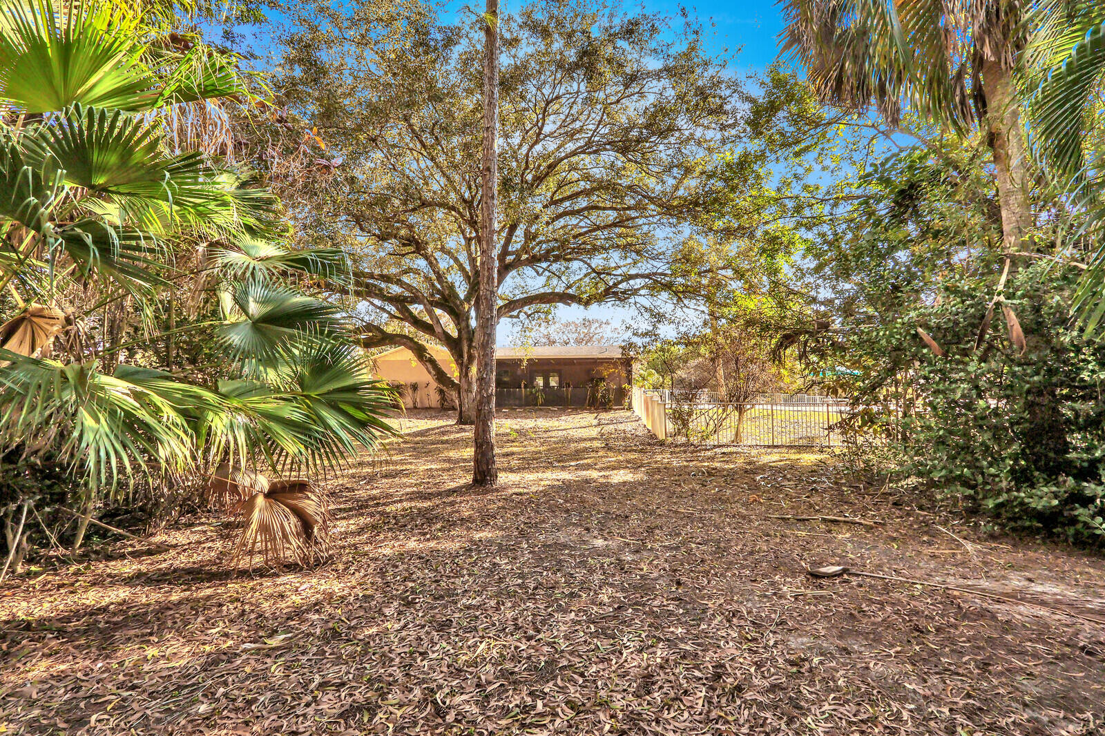 17151 30th Lane N