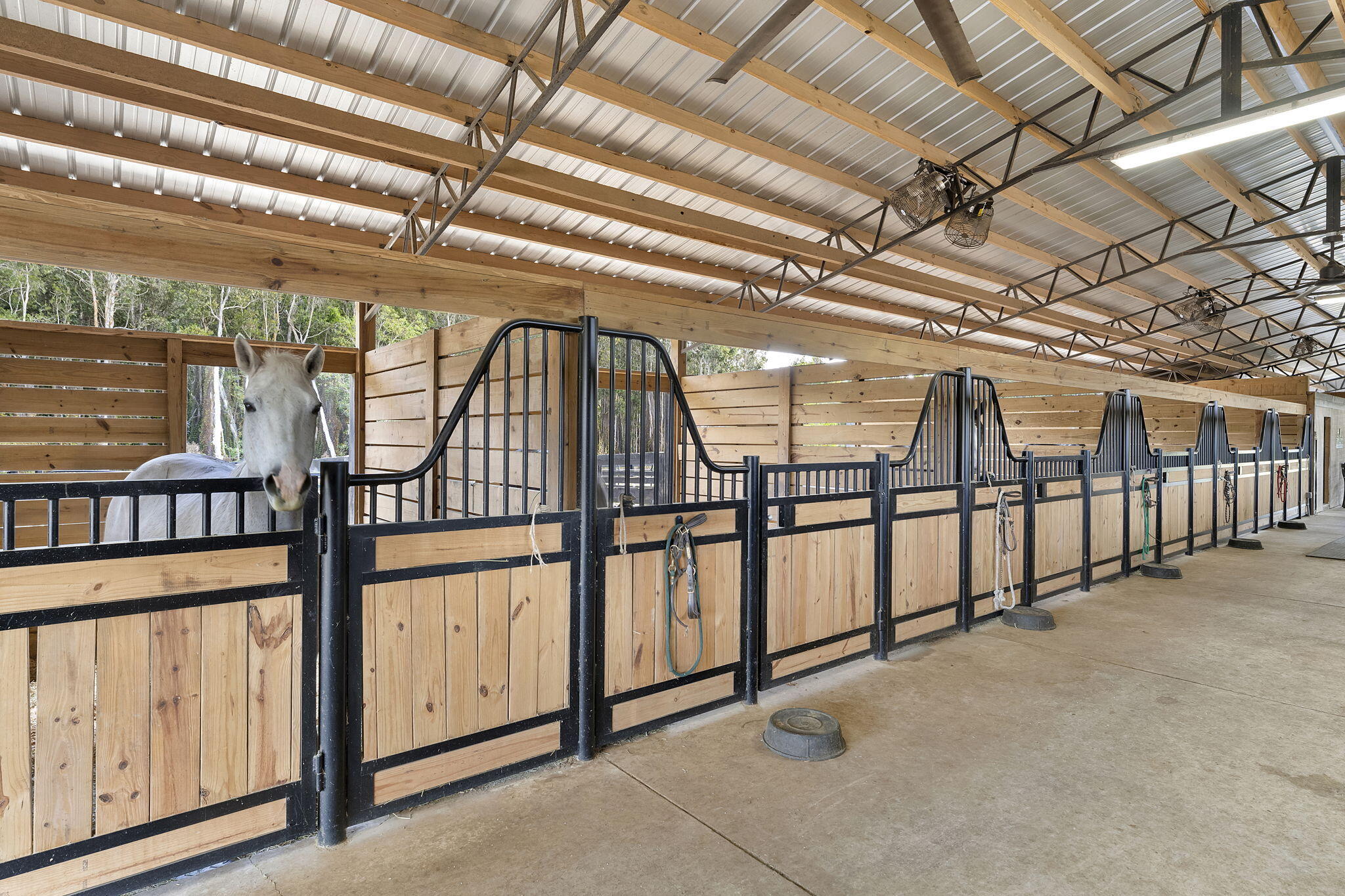 19921 Skyhawk Lane, The Acreage