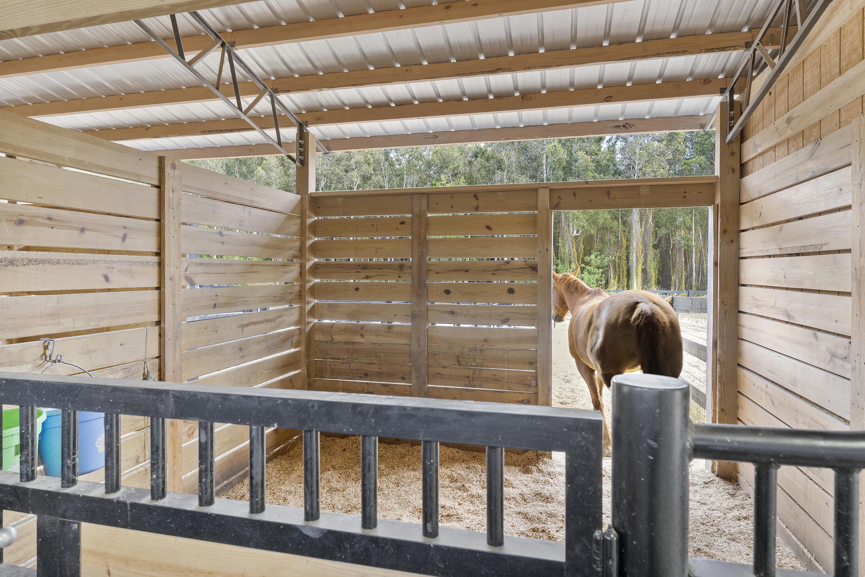 19921 Skyhawk Lane, The Acreage