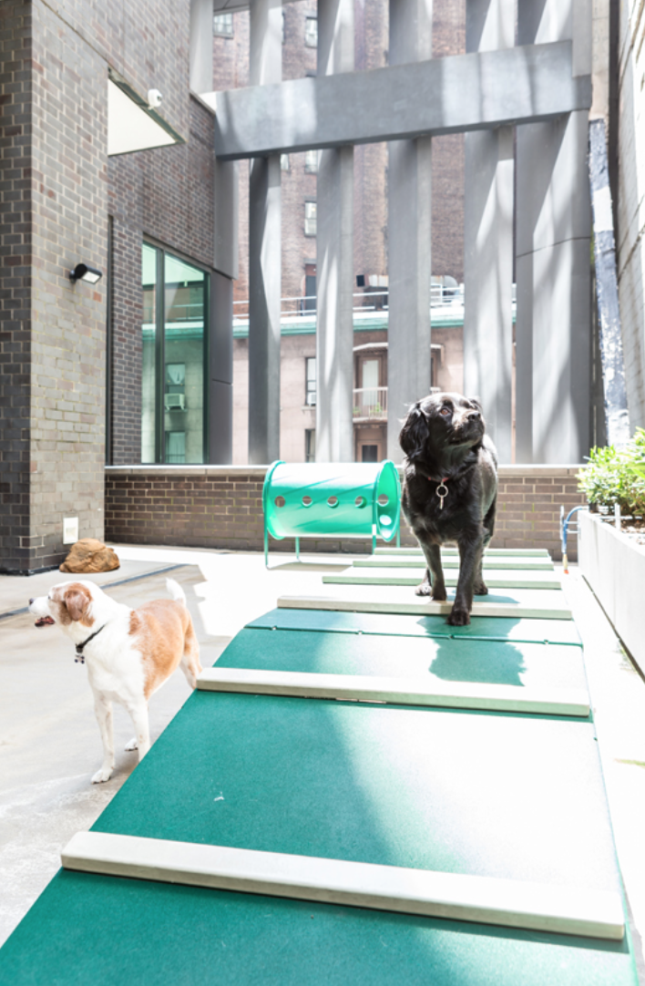 15 William Street Unit: 7D