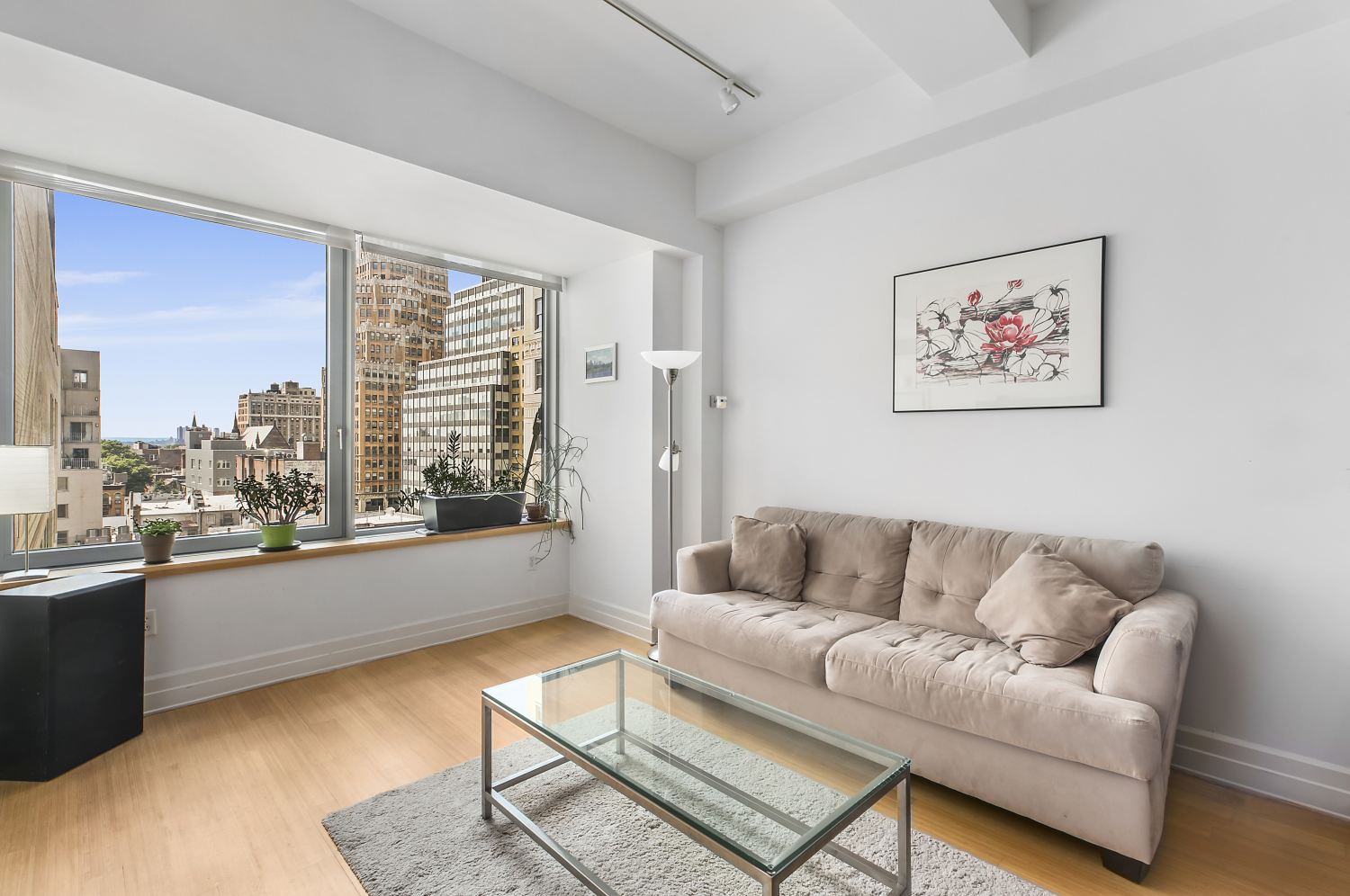 110 Livingston Street 8N