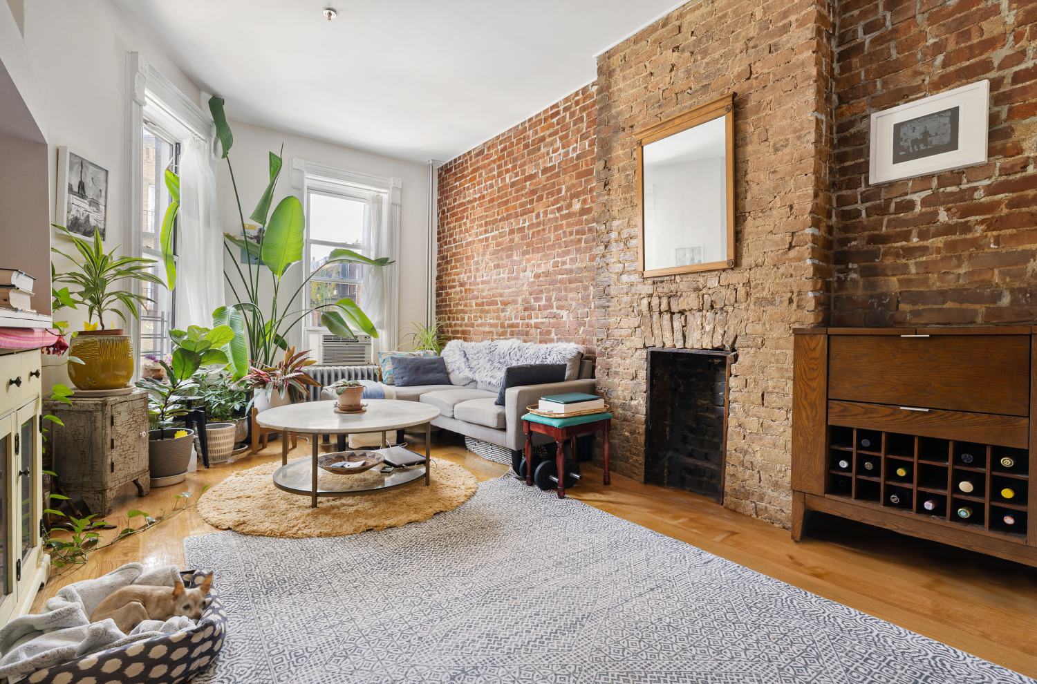 215 Schaefer Street