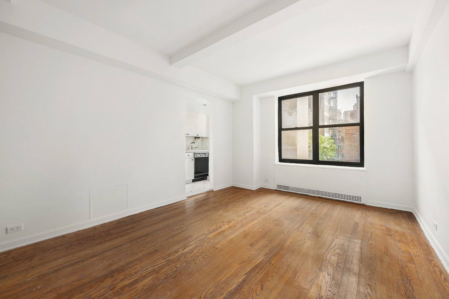 161 West 16th Street 6I
