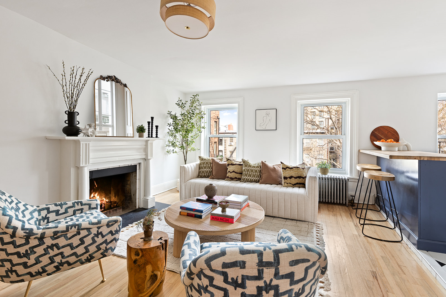 113 CARROLL Street 4