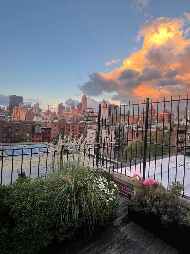 328 W 17TH Street 5E