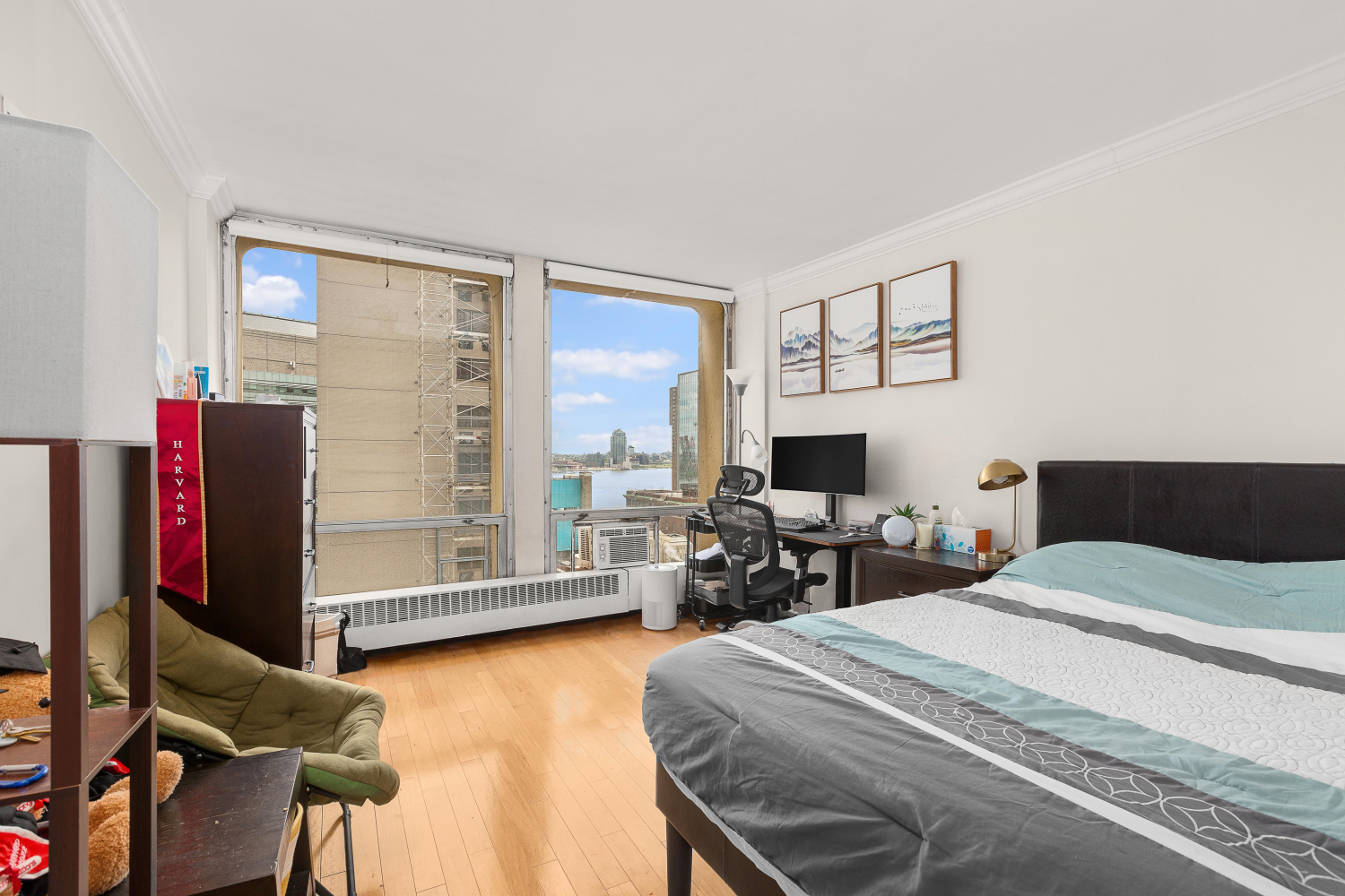 343 E 30TH Street 15M