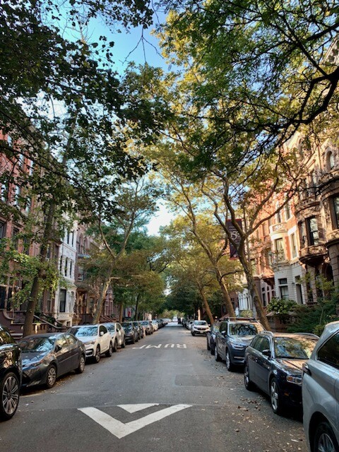 304 W 88TH Street 1D