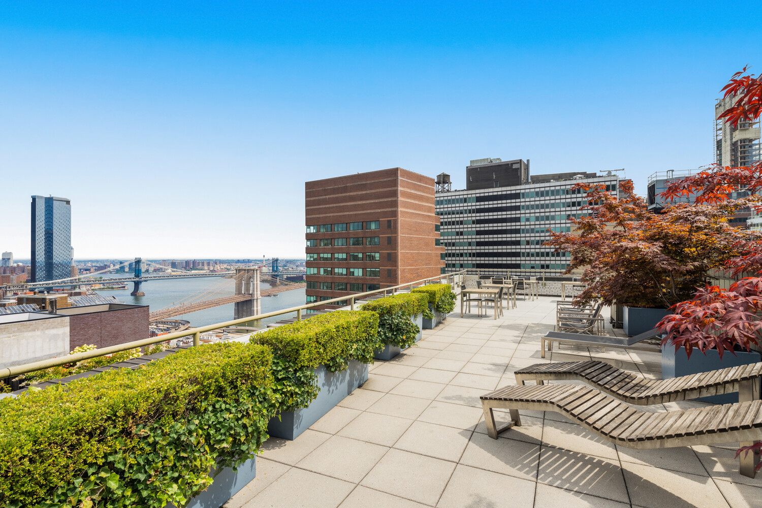 99 JOHN Street 205