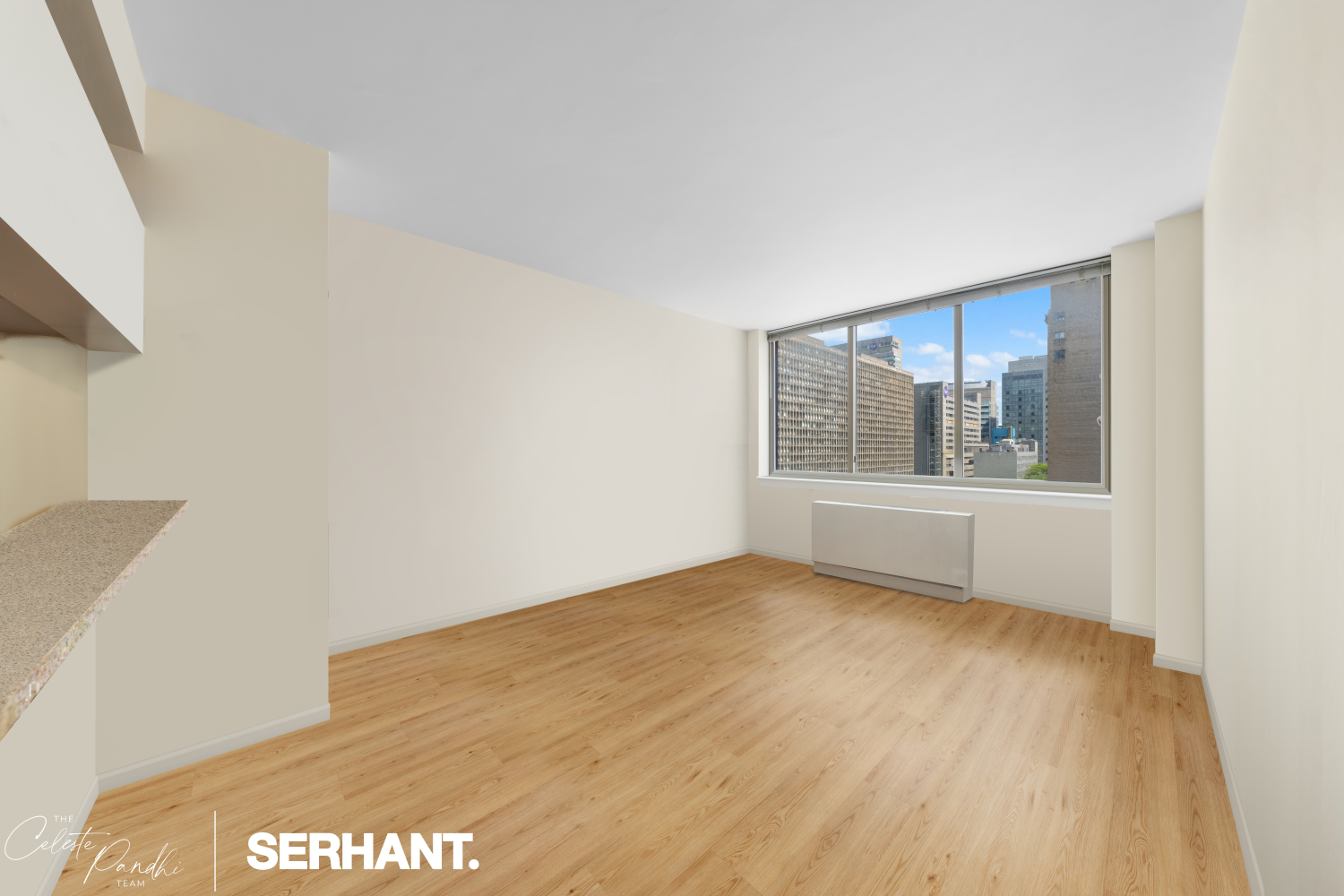 250 E 30TH Street 8D