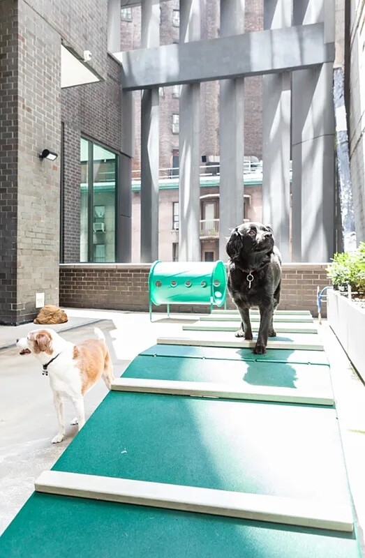 15 WILLIAM Street 9F