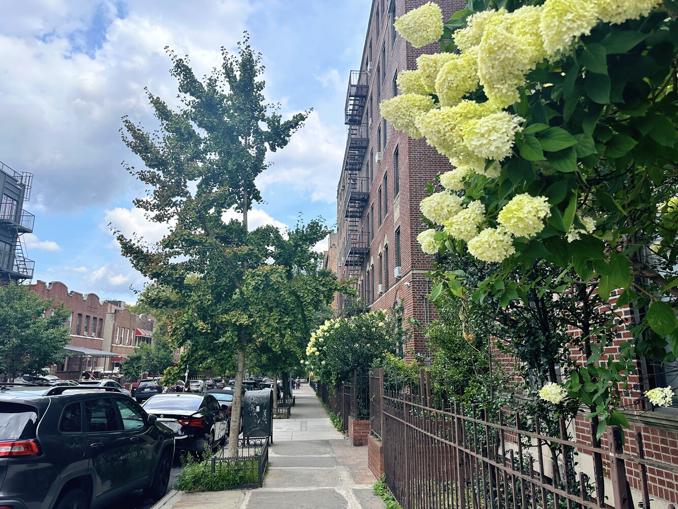 1710 CARROLL Street D5