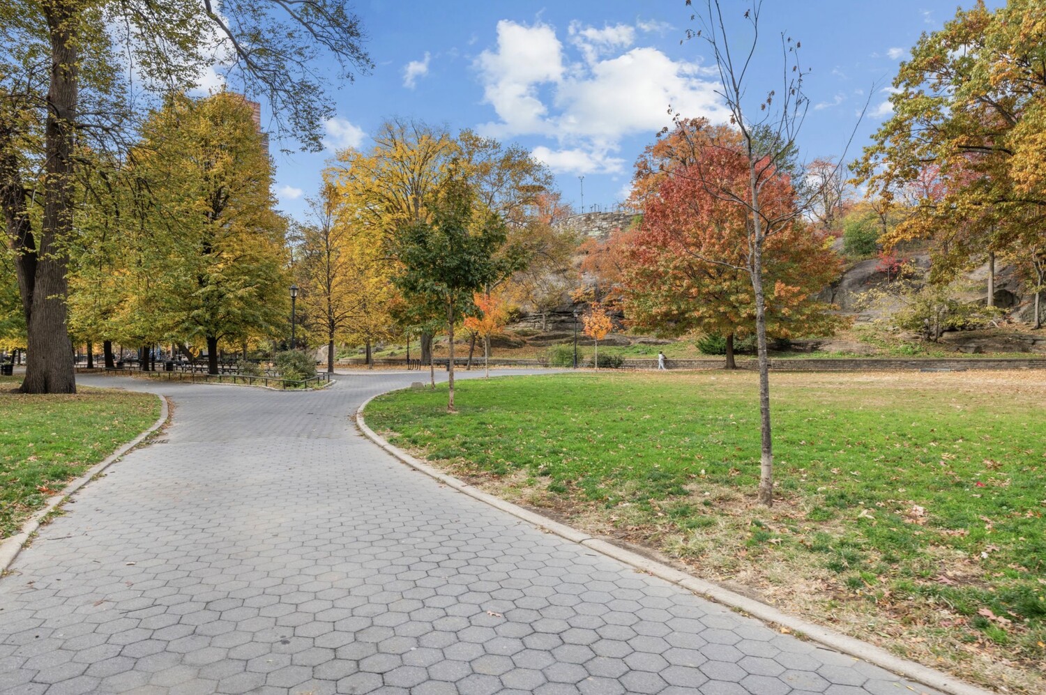 1919 MADISON Avenue 317