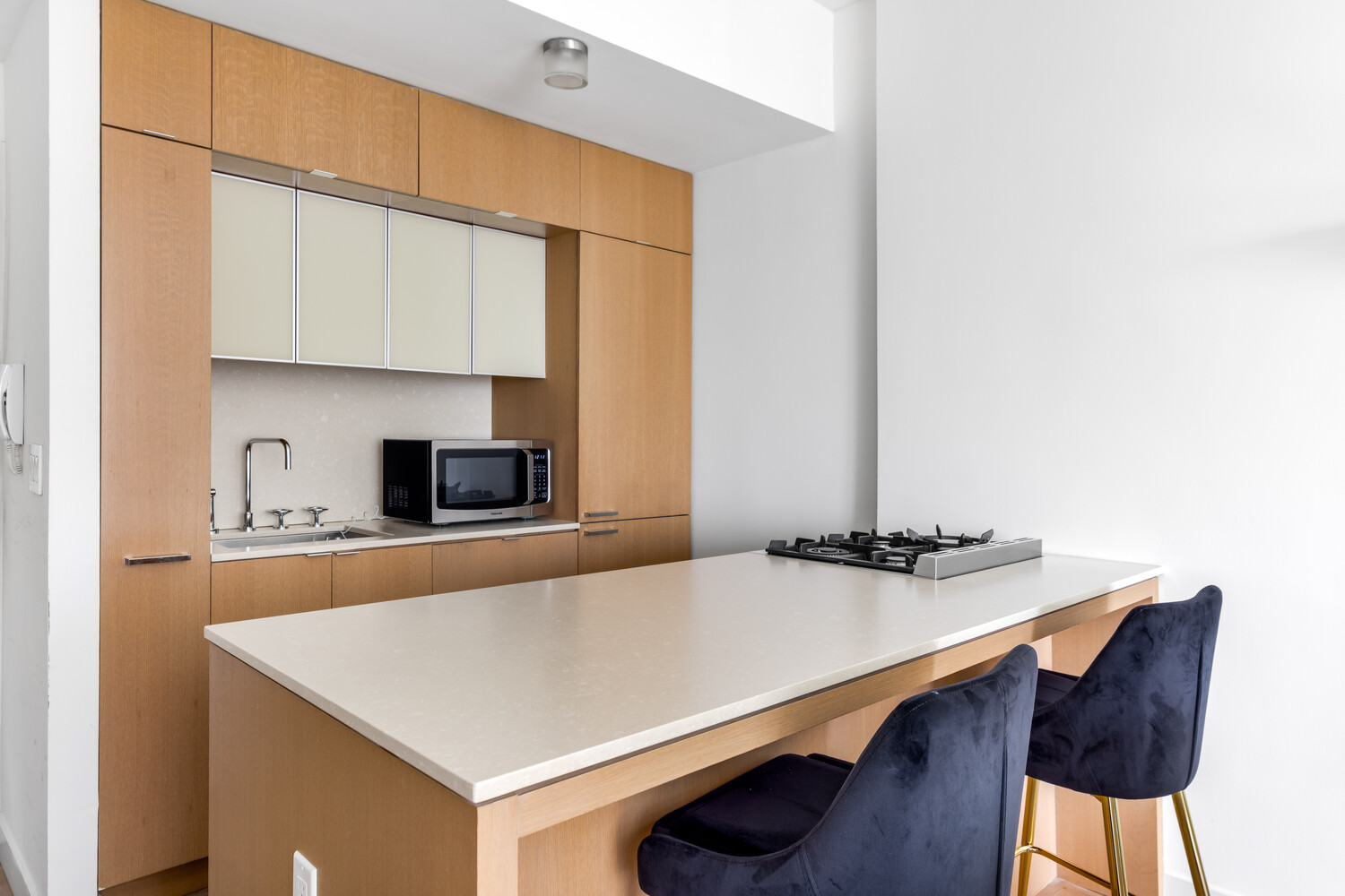 225 RECTOR Place 14H