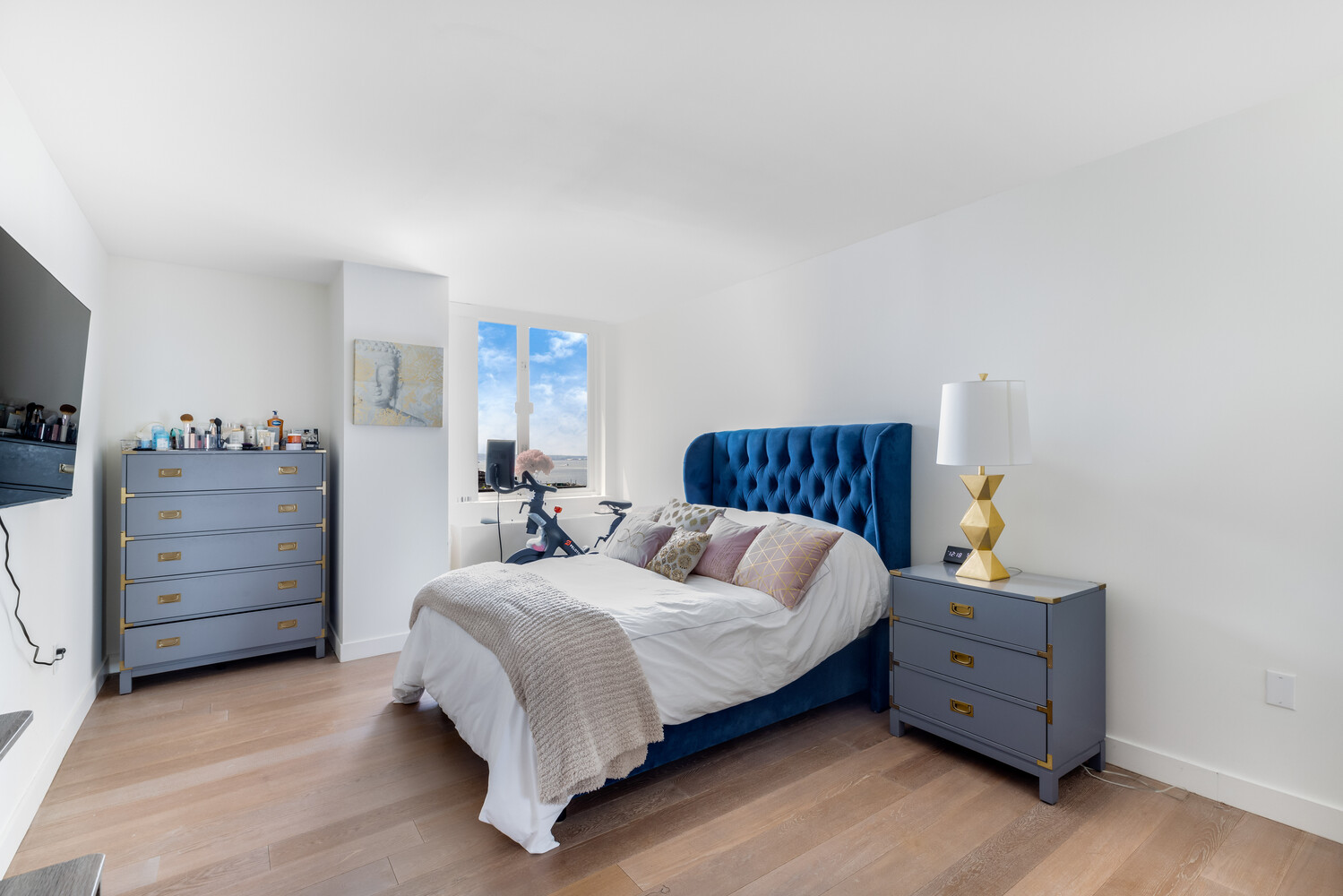 225 RECTOR Place 14H