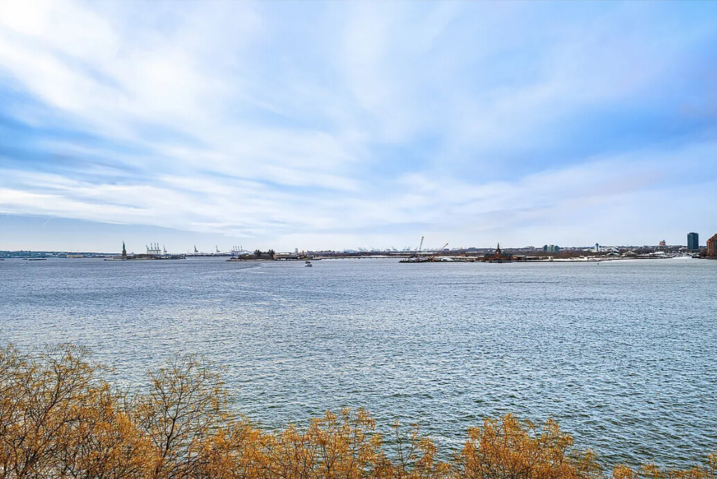 350 ALBANY Street 8A