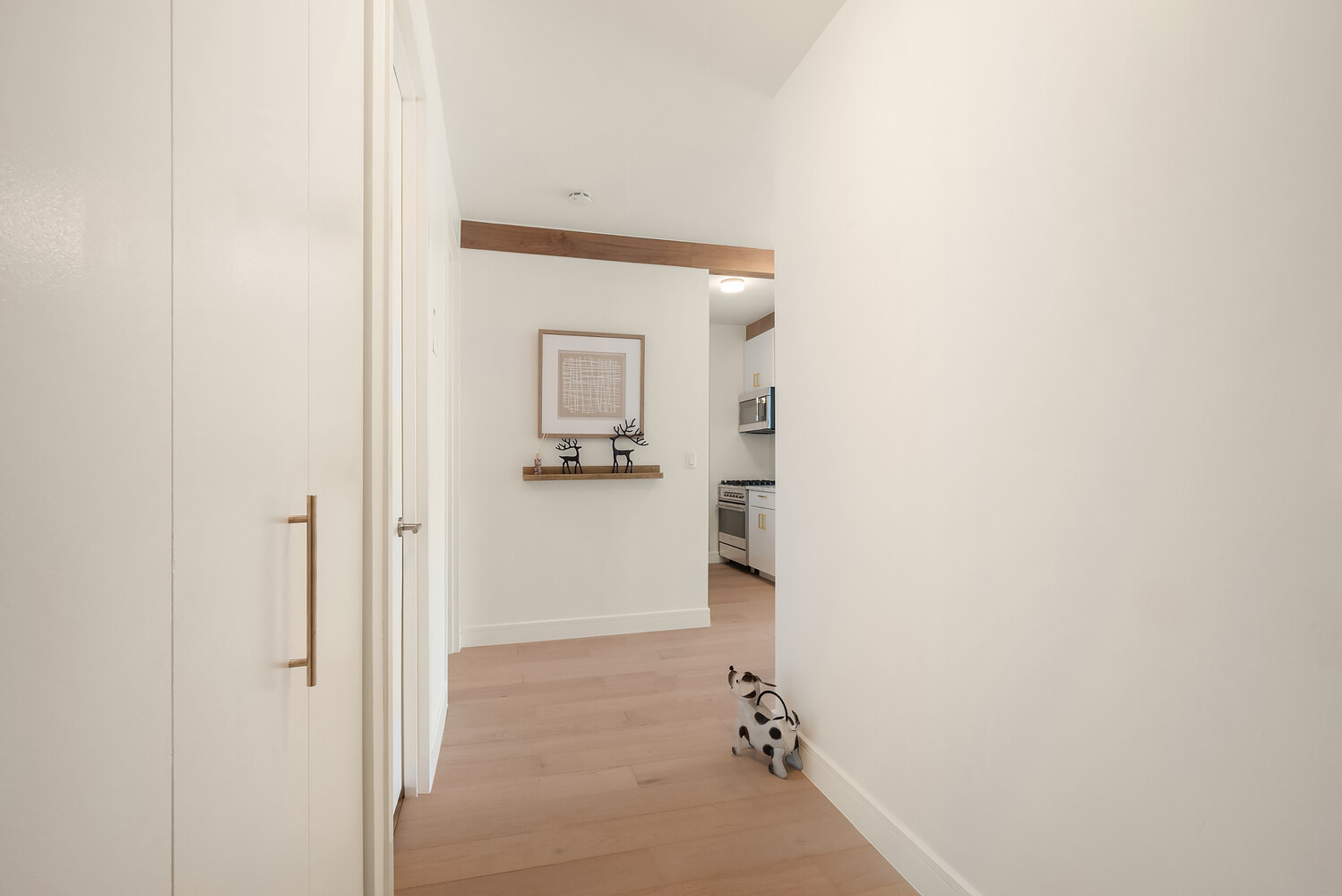 350 ALBANY Street 8A