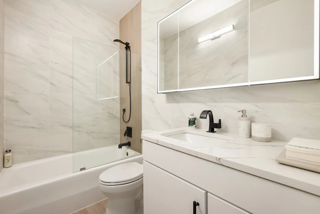 350 ALBANY Street 8A