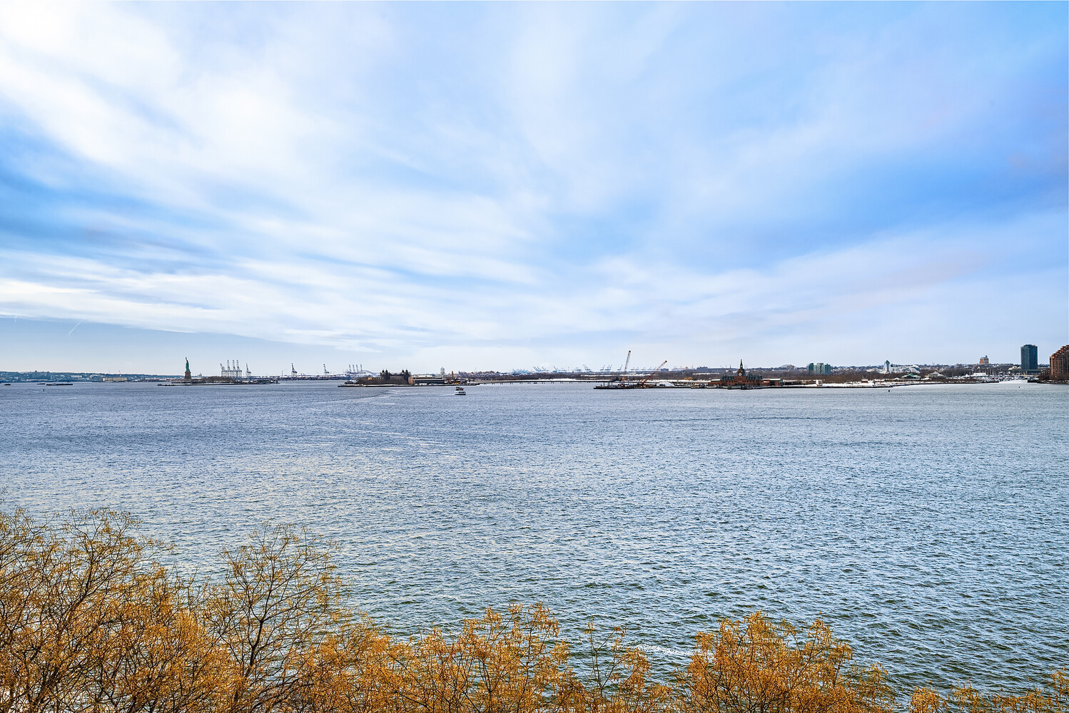 350 ALBANY Street 8A