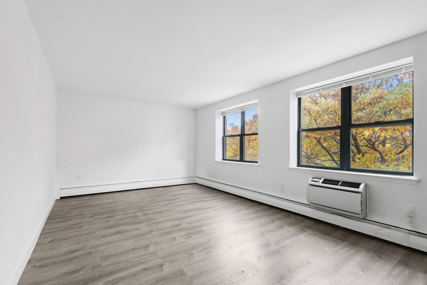 1919 MADISON Avenue 317