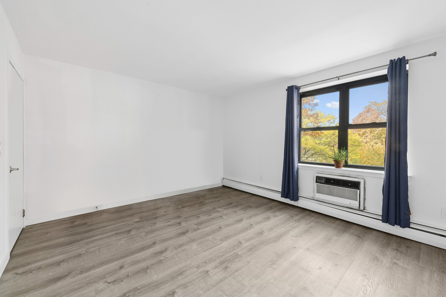 1919 MADISON Avenue 317