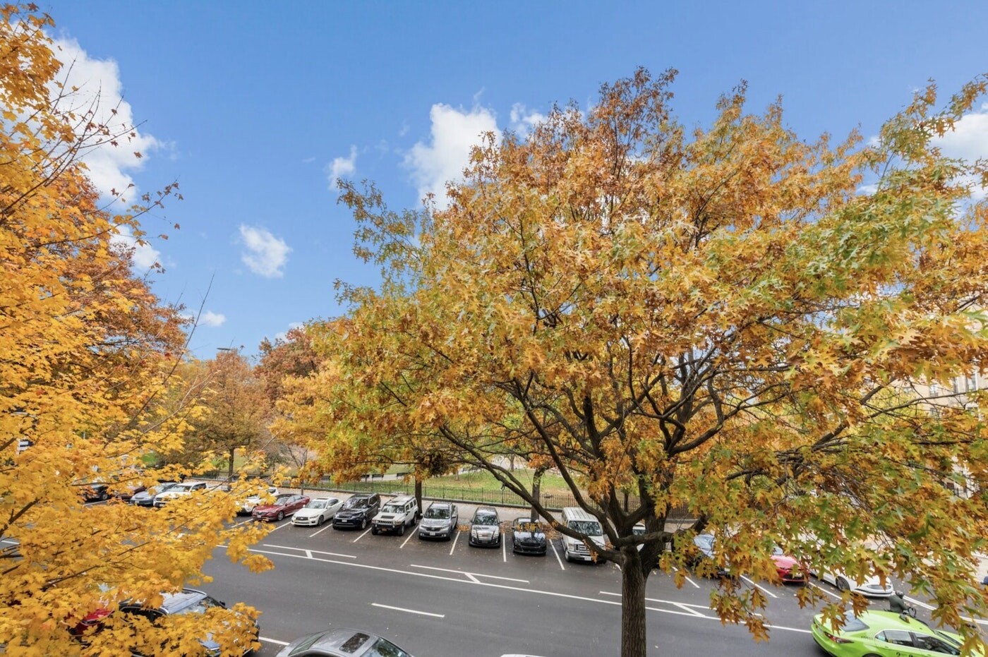 1919 MADISON Avenue 317