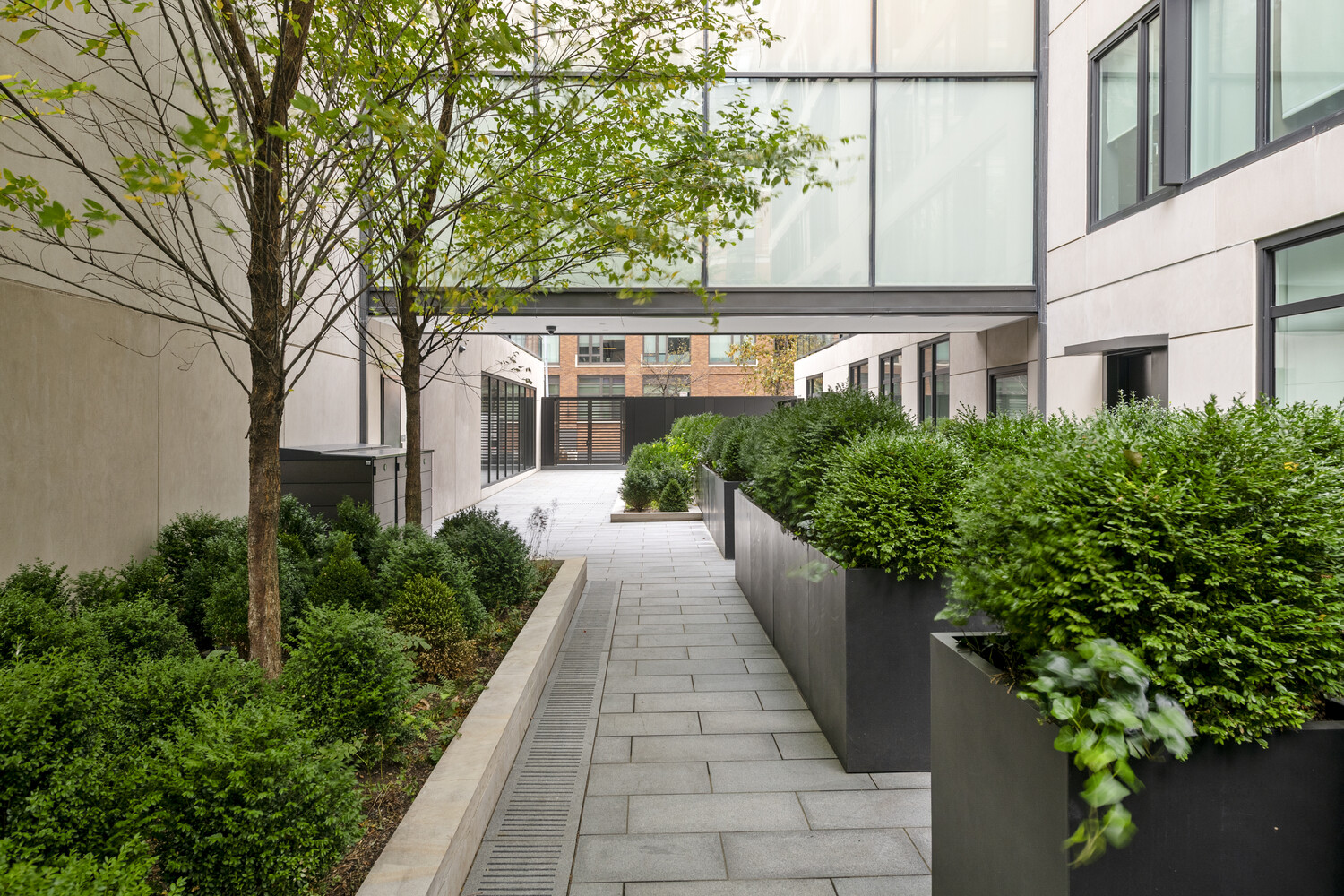 450 WASHINGTON Street TH5