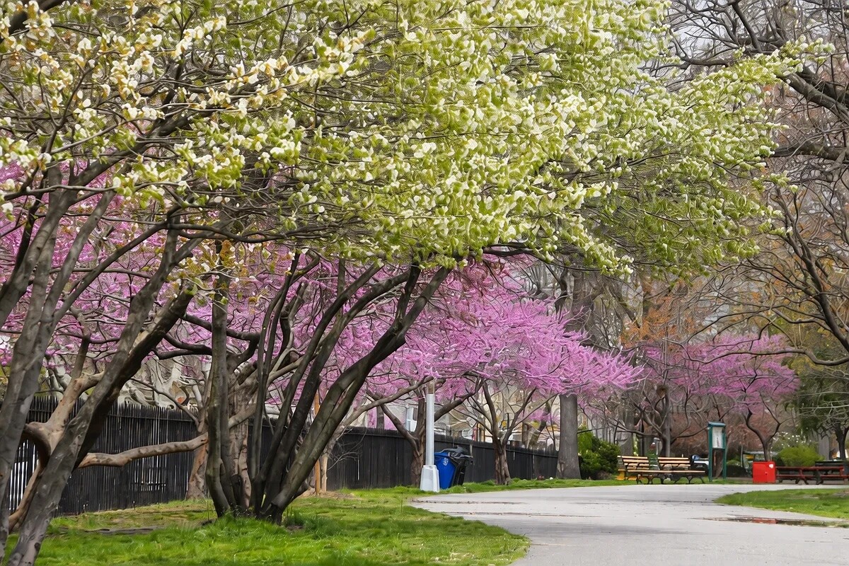 215 N 10TH Street 4E