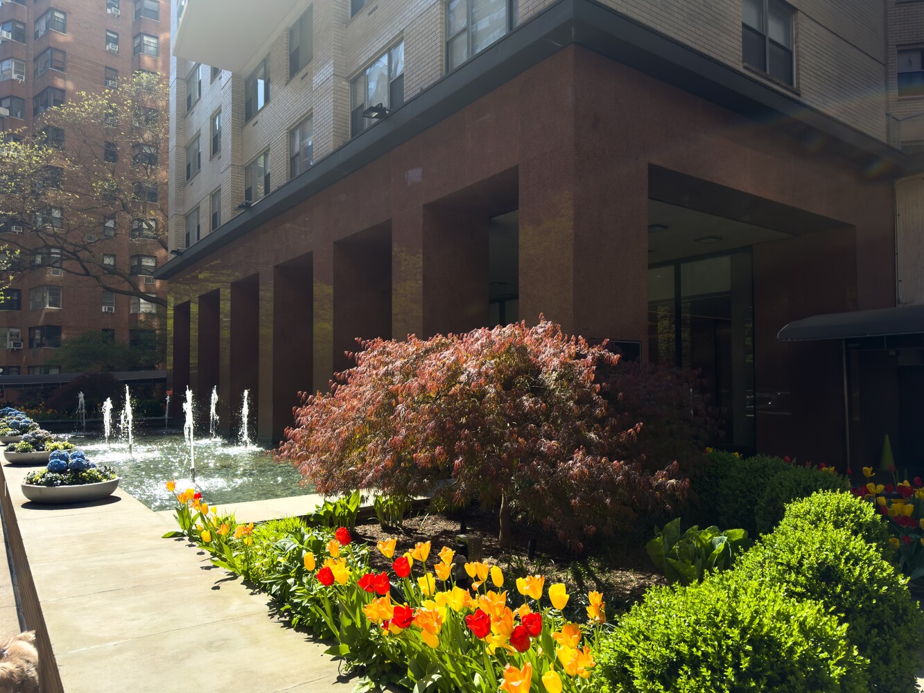 400 E 56TH Street MEDICAL