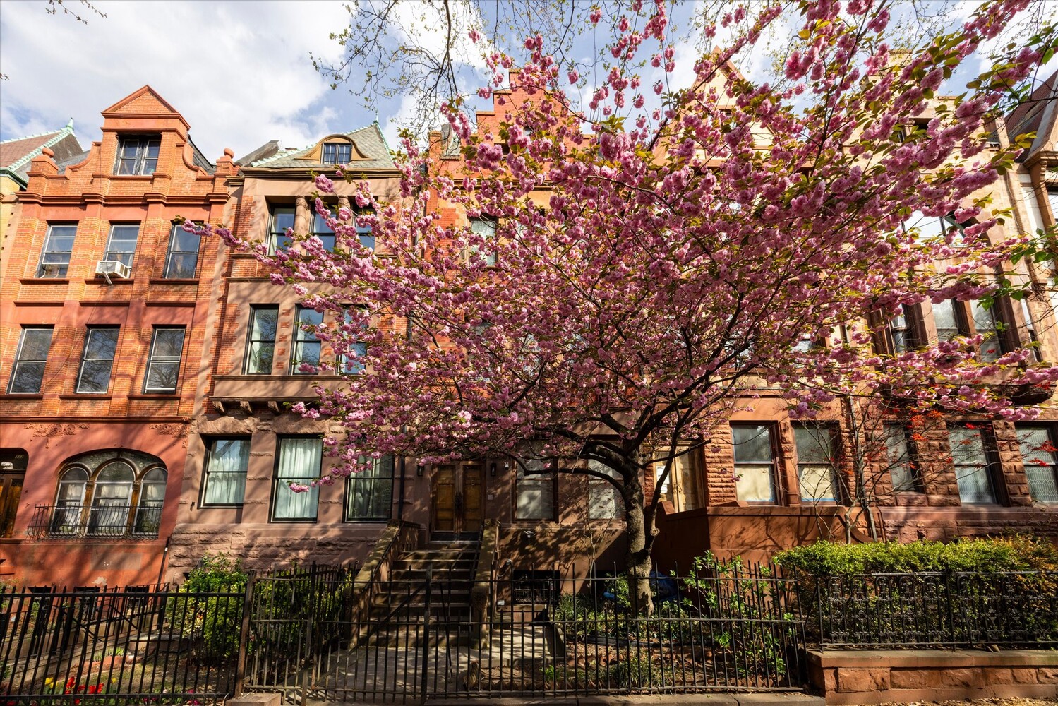 329 CONVENT Avenue