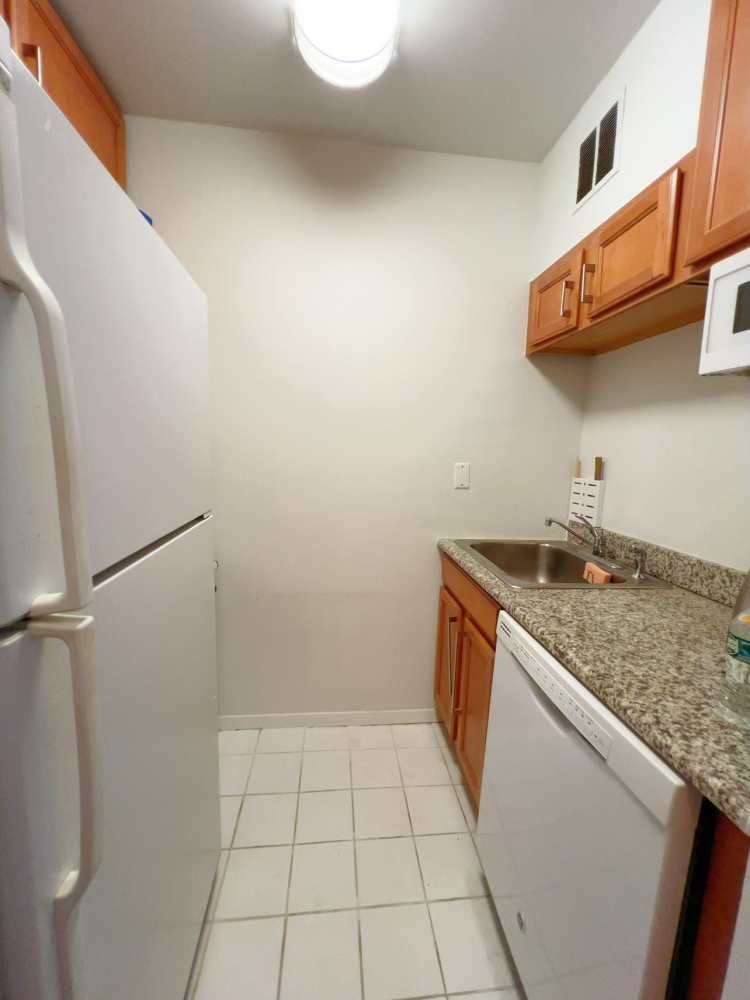 393 W 49TH Street 3MM