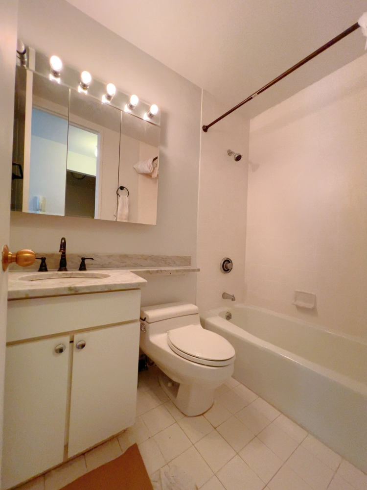 393 W 49TH Street 3MM