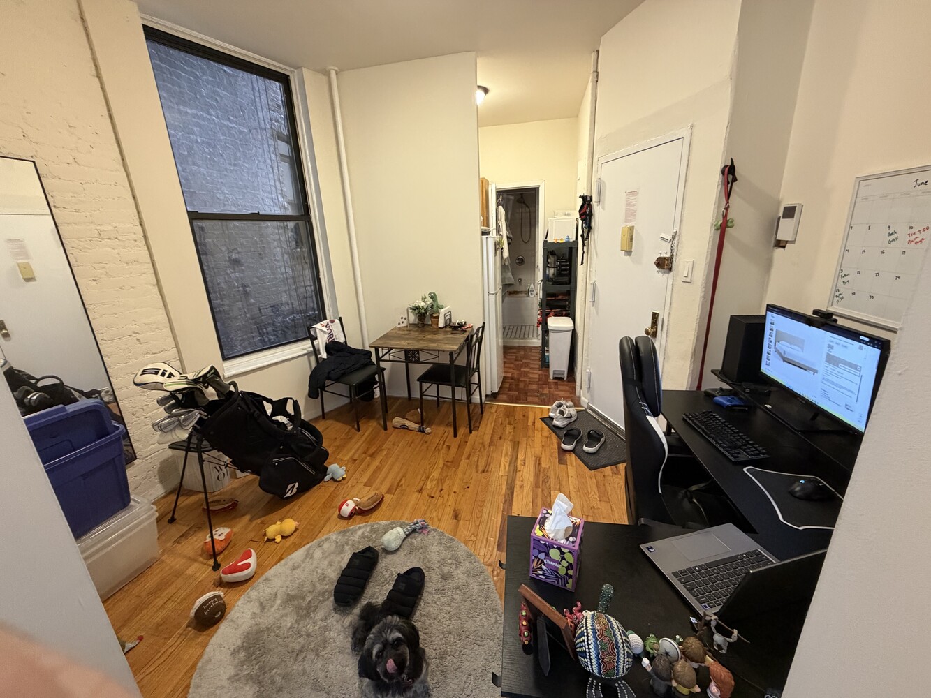 230 E 25TH Street 4E