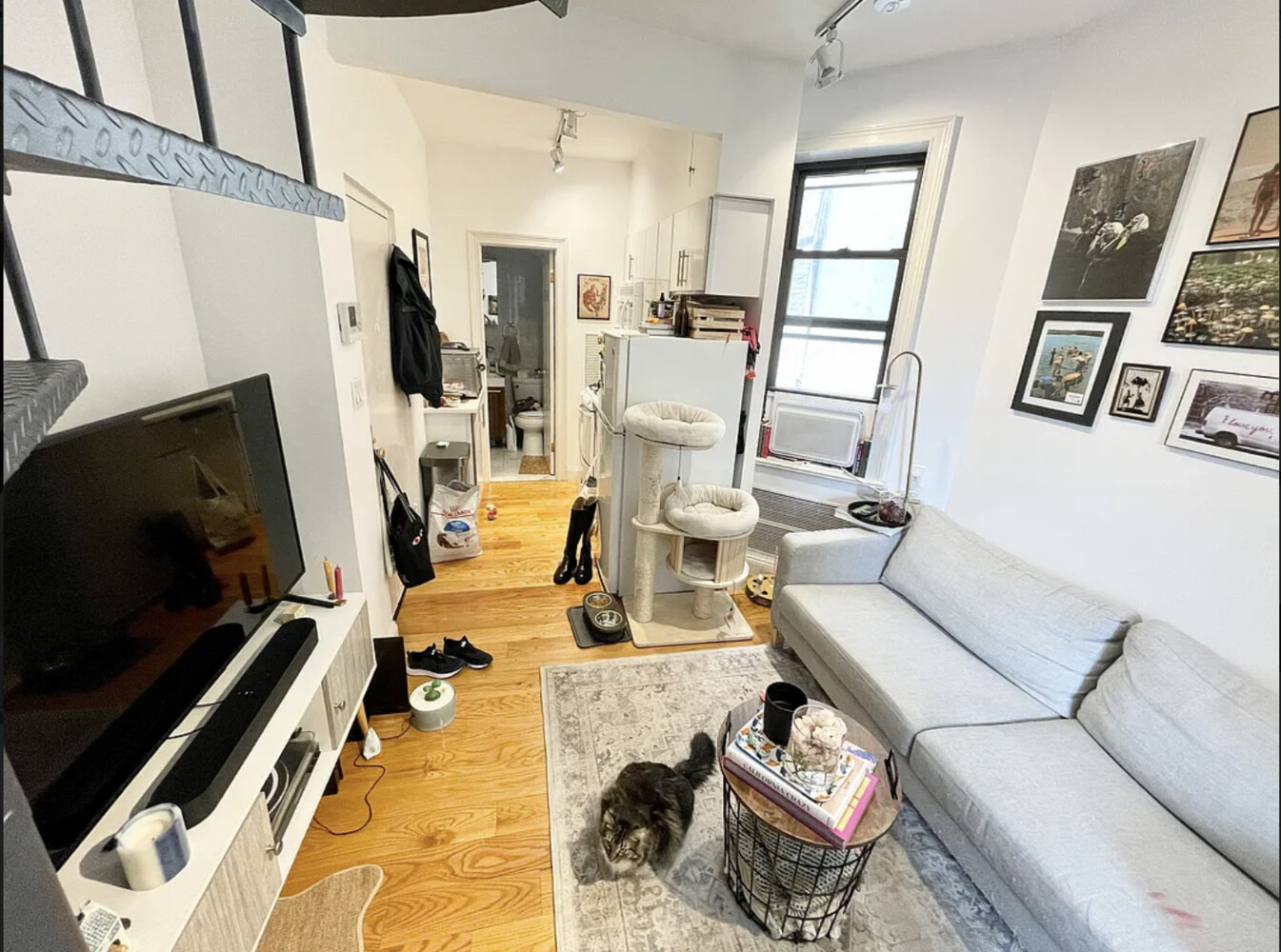163 CHRYSTIE Street 17
