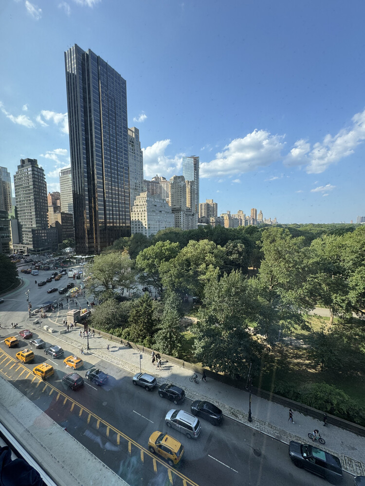 230 CENTRAL Park S 10C