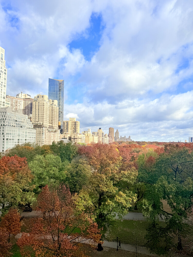 230 CENTRAL Park S 10C