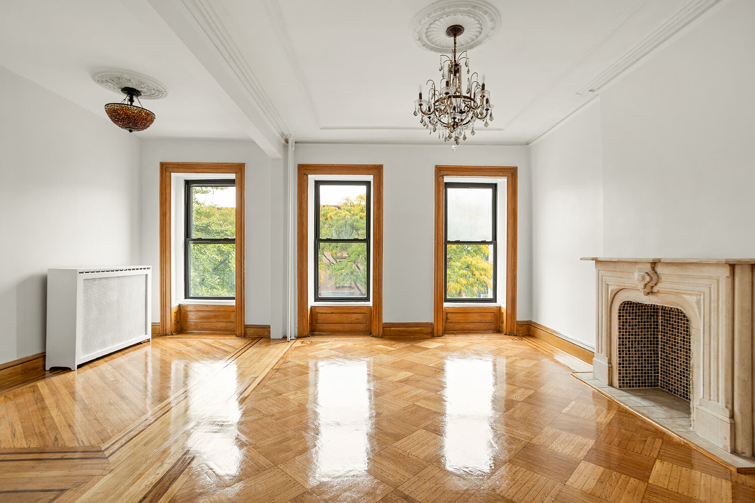 254 VANDERBILT Avenue 3L