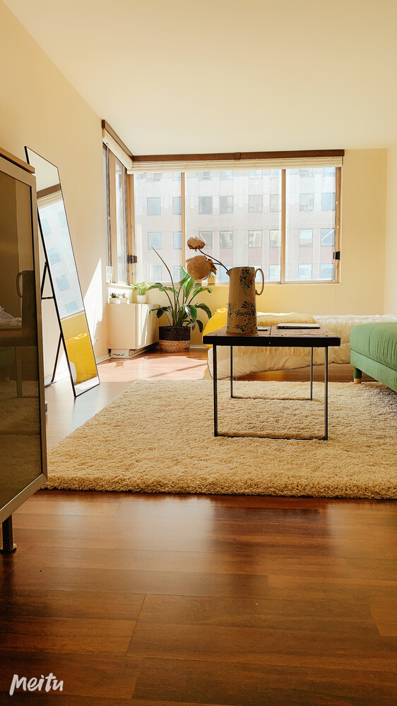 350 W 50TH Street 20A