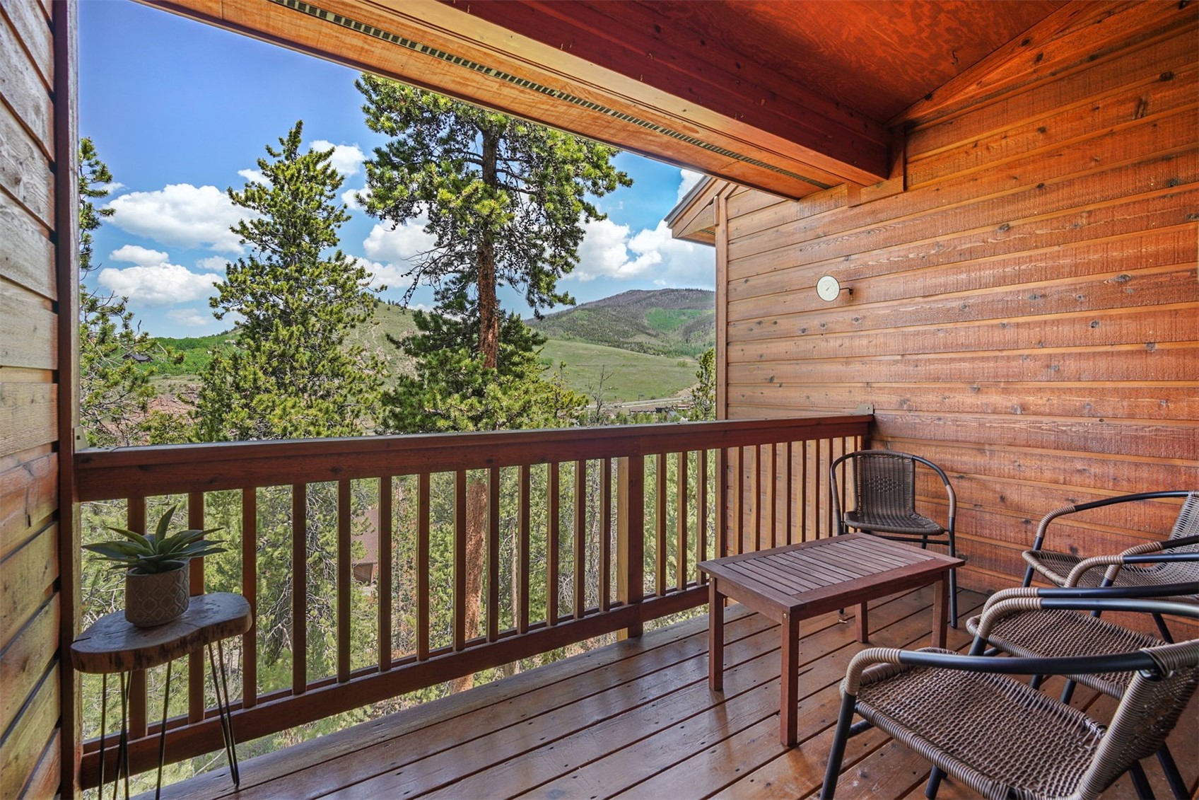 113 Lookout Ridge DRIVE 113
