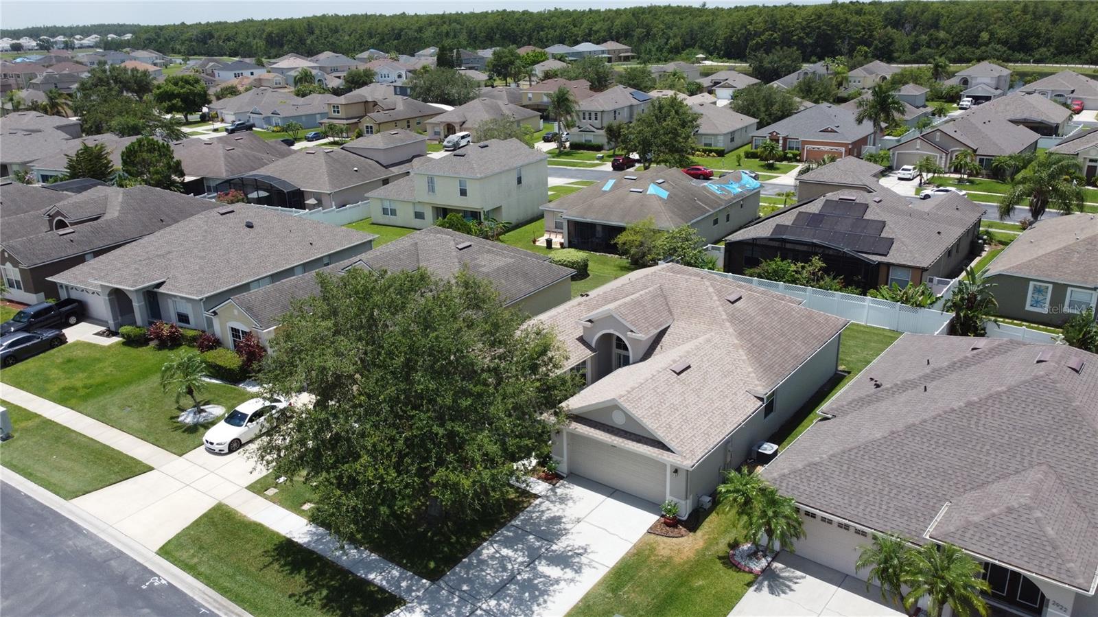 2924 WHITE CEDAR CIR