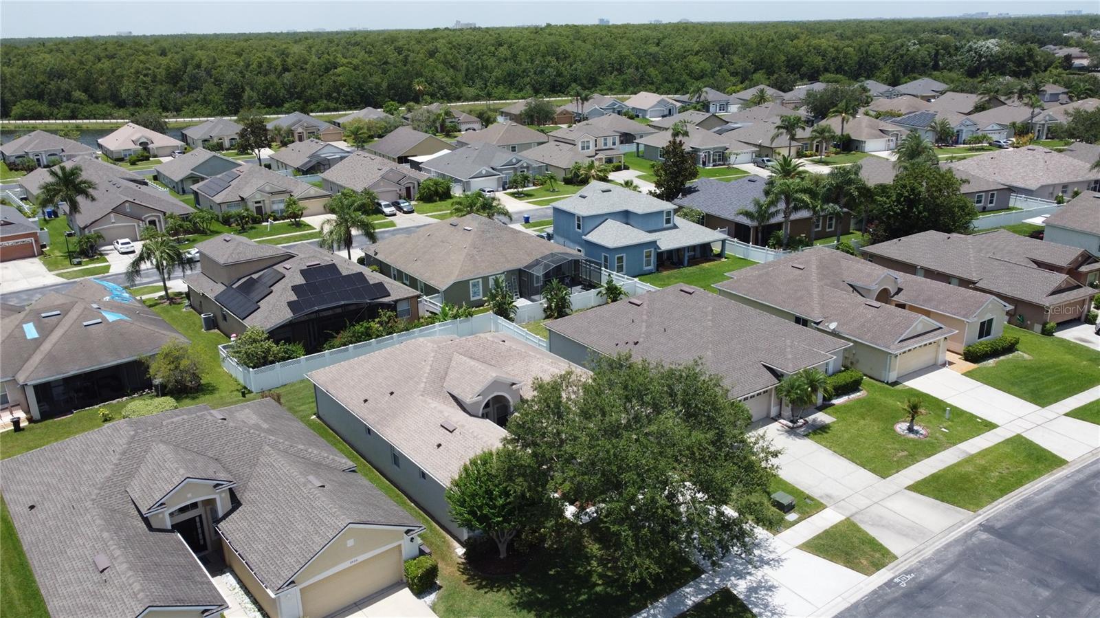 2924 WHITE CEDAR CIR