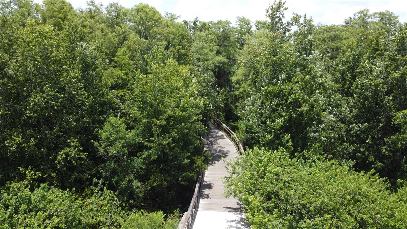 2924 WHITE CEDAR CIR