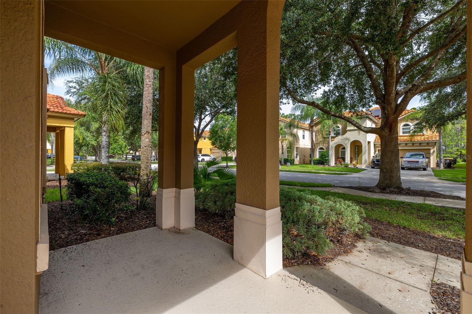 375 ORANGE COSMOS BLVD