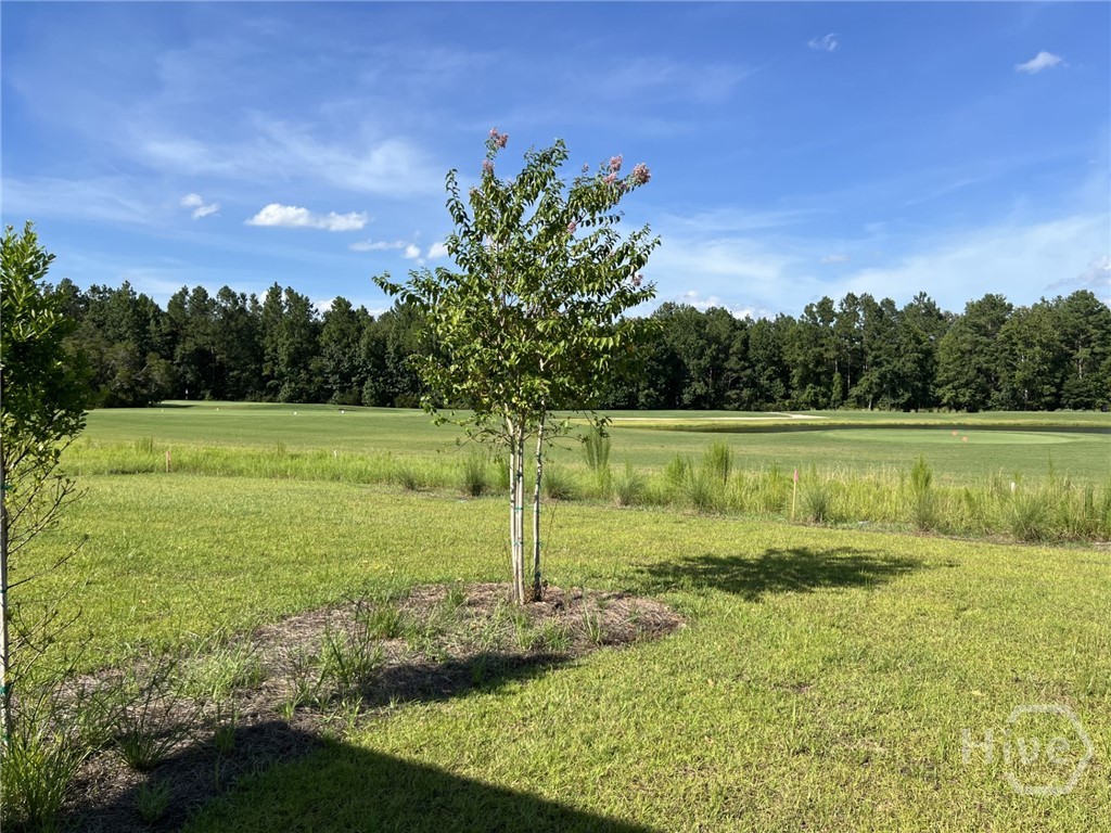 658 Blue Moon Crossing