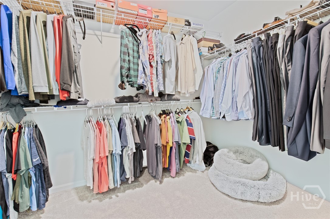 157 Halcyon NE