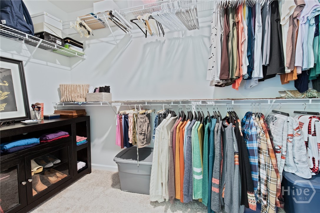 157 Halcyon NE
